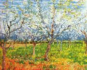 Vincent Van Gogh Orchard in Blossom Sweden oil painting reproduction